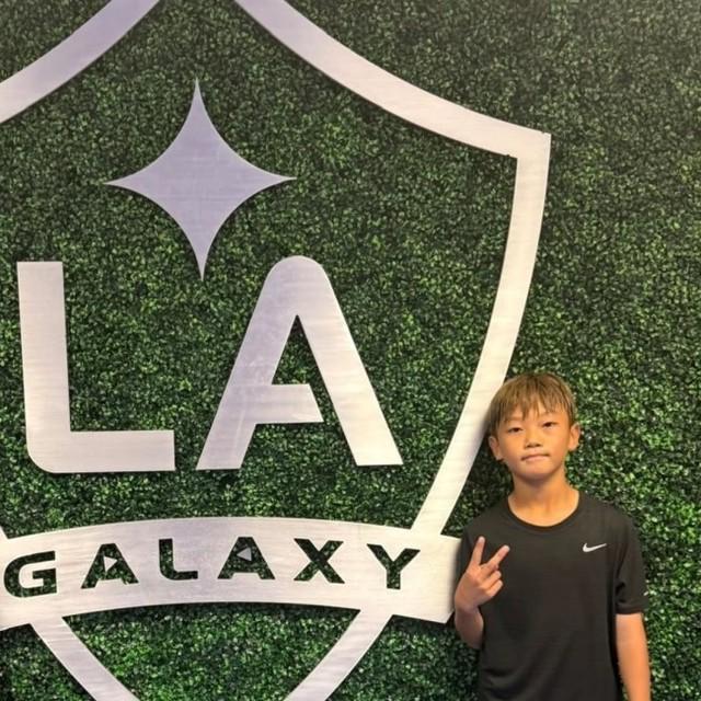 了这一消息 了这一消息