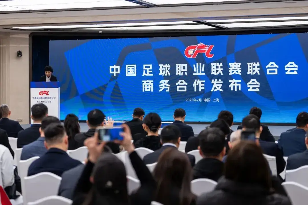 有效的财务, 际比赛日国