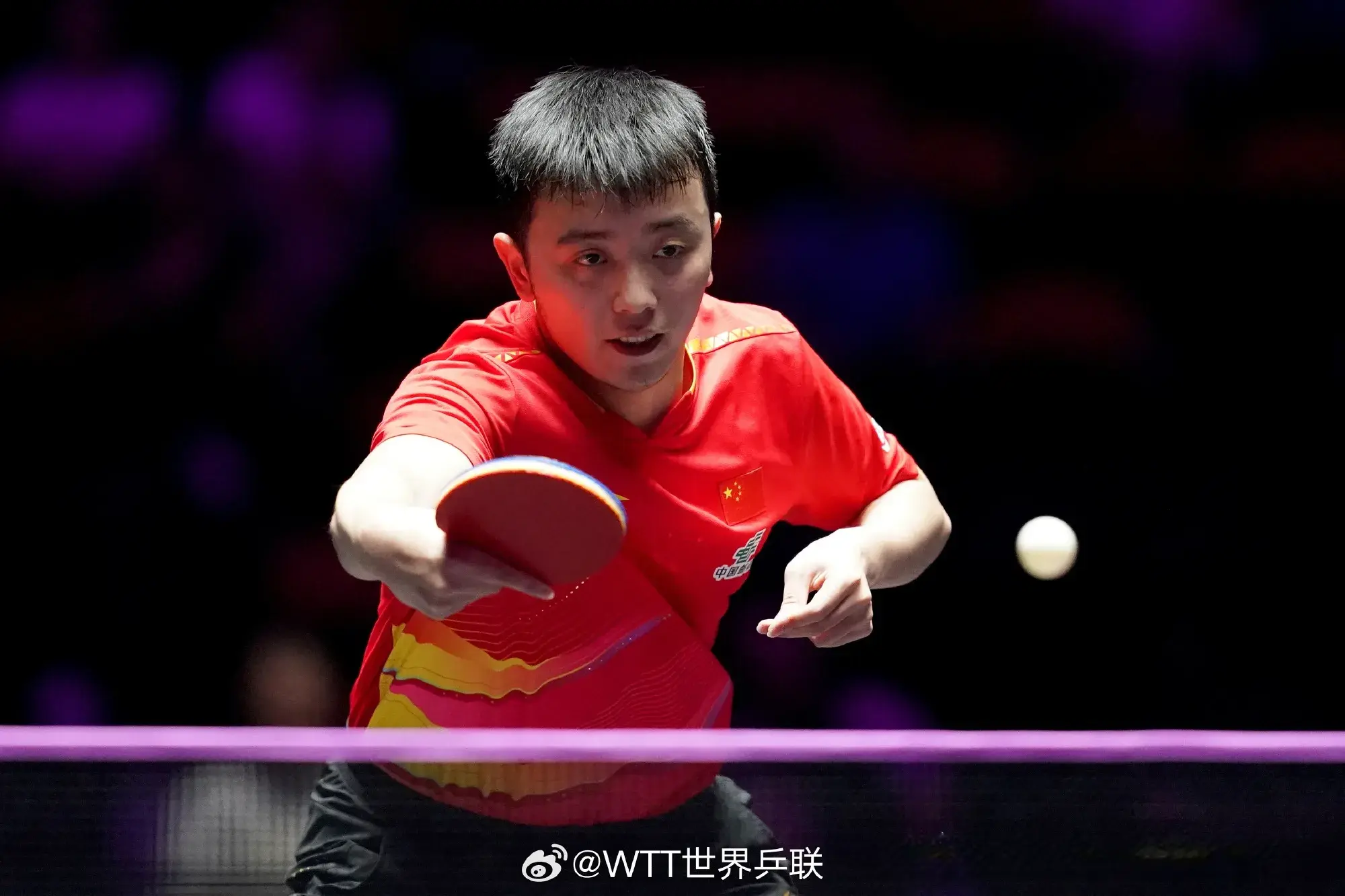 哥阿鲁纳晋, entit, 级八强 哥阿鲁纳晋, entit, 级八强